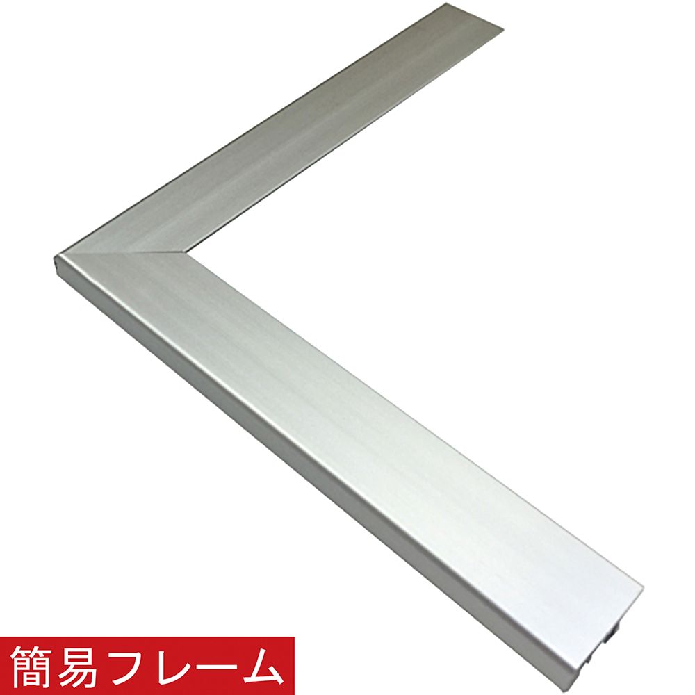 詳細画像 ネオフレーム [シルバー]