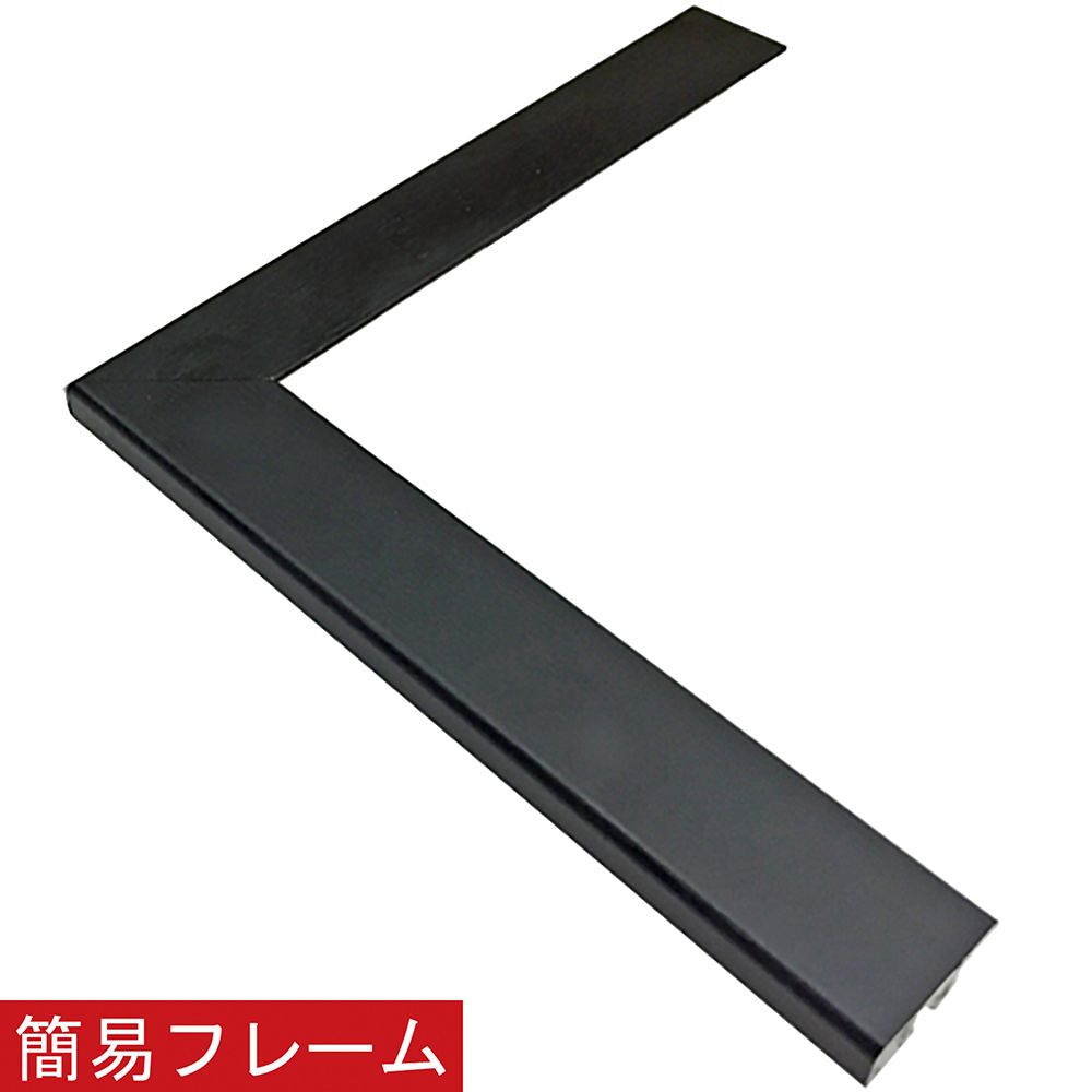 詳細画像 ネオフレーム [ビター]