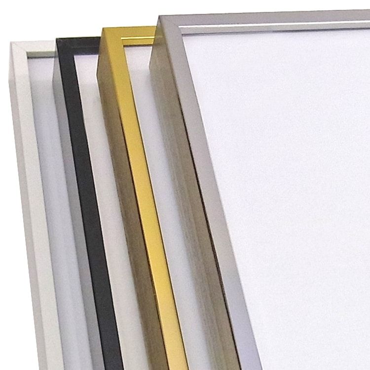 詳細画像3 一般額 SL-202N