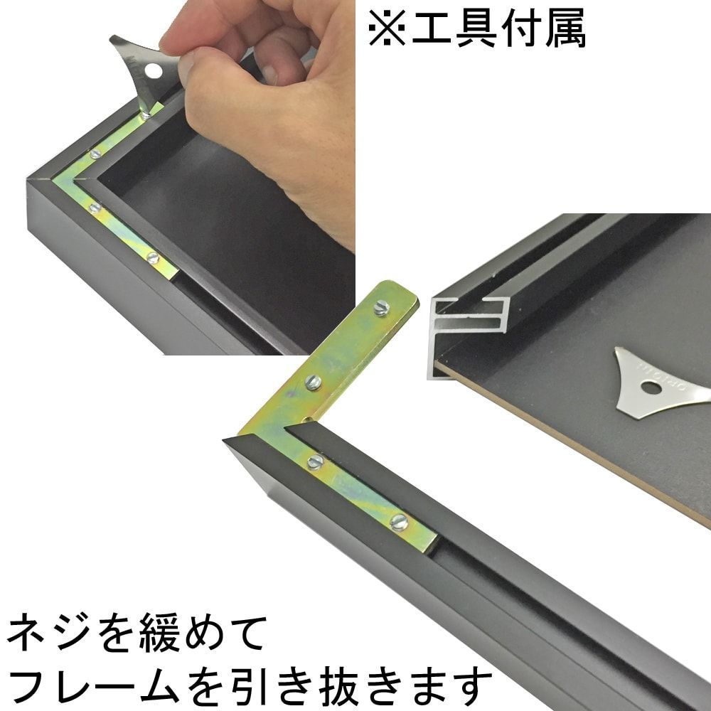 詳細画像7 一般額 SL-202N