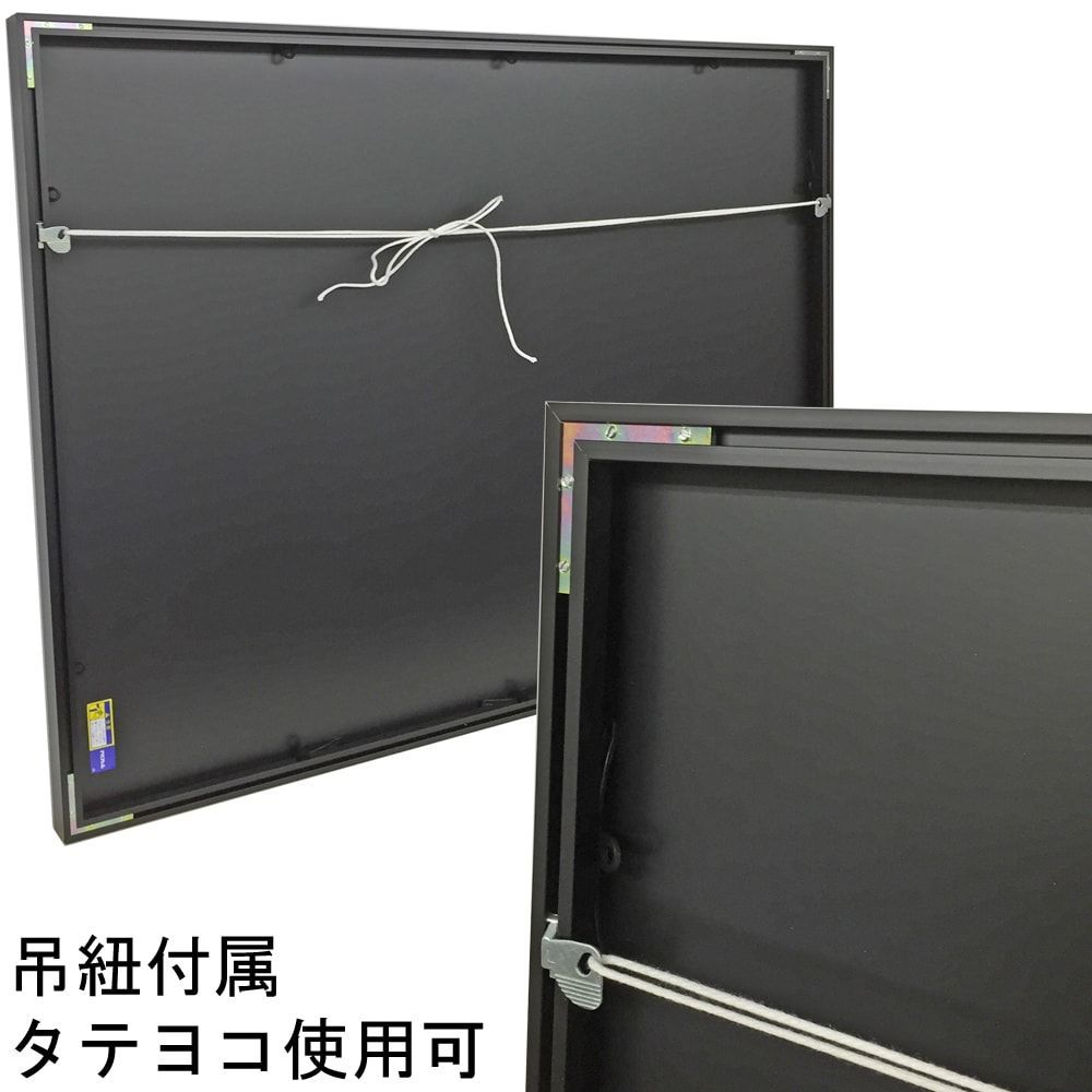 詳細画像8 一般額 SL-202N