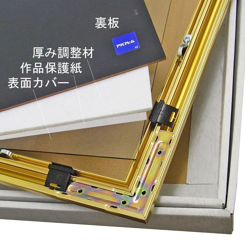 詳細画像6 一般額 MB-700N