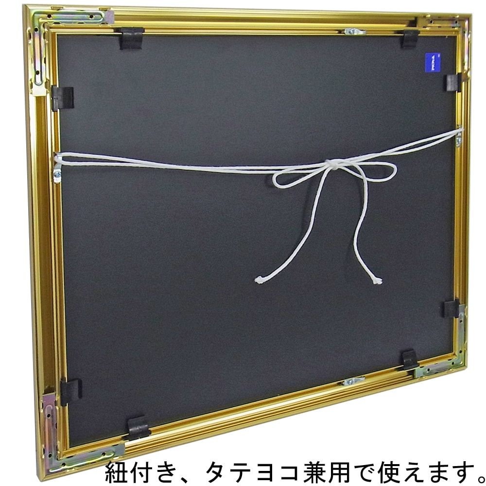 詳細画像8 一般額 MB-700N