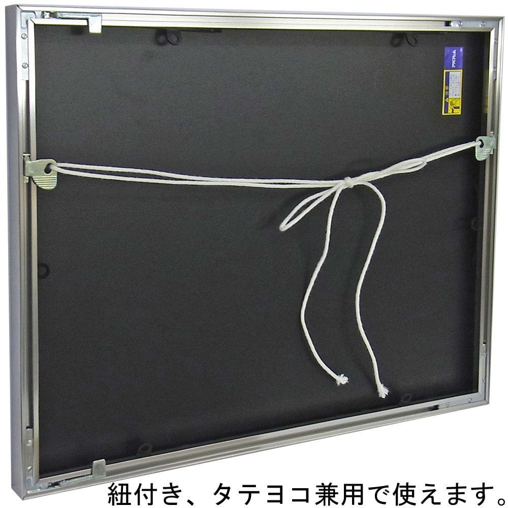 詳細画像8 一般額 SH-202N