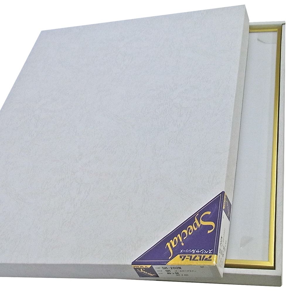 詳細画像9 一般額 SH-202N