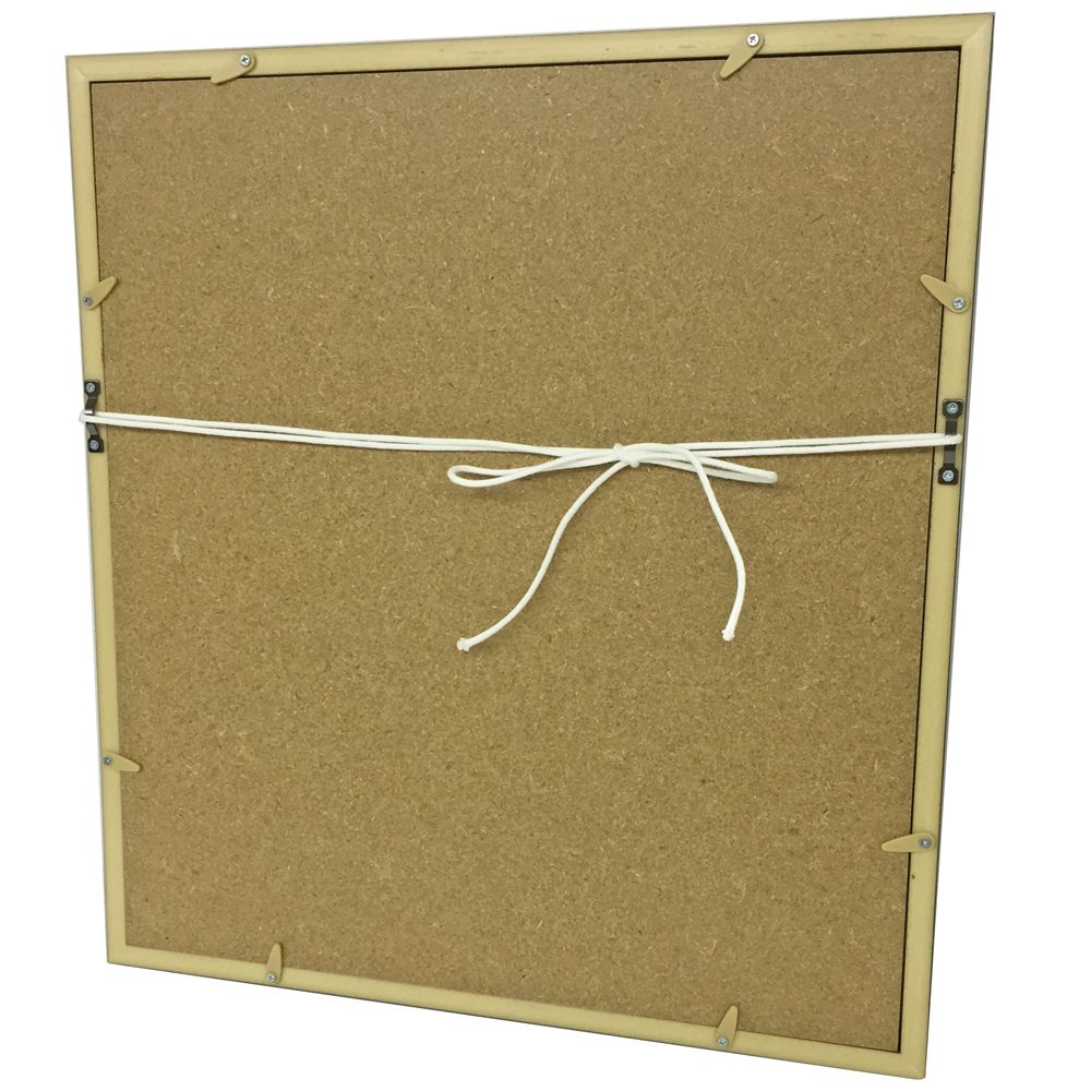 詳細画像8 色紙額 4953(マット付)