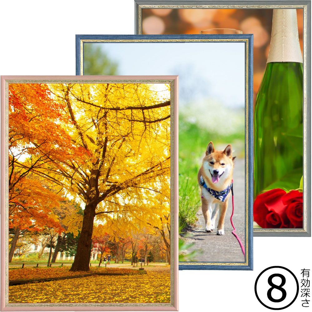 詳細画像 一般額 APS-02