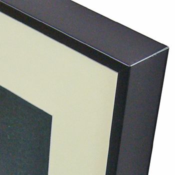 真珠の耳飾りの少女