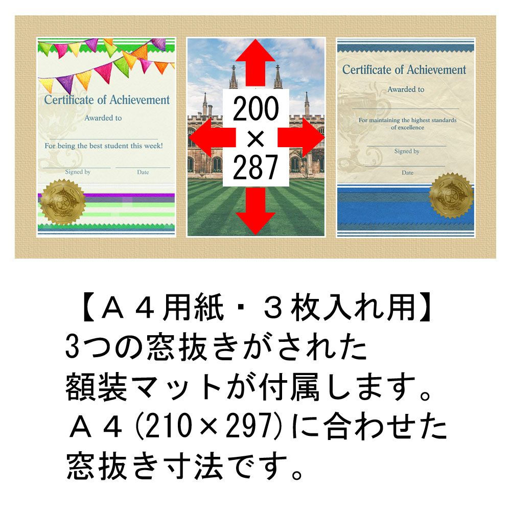 A4用紙・3枚入フレーム BH-15F