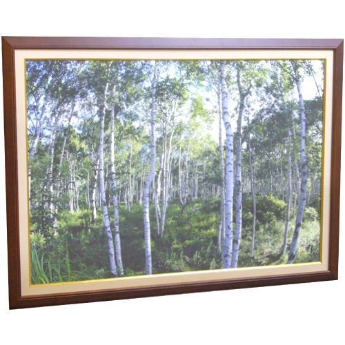 大サイズの写真を額に