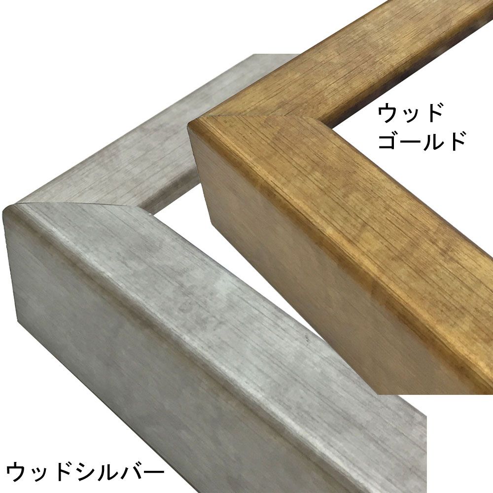 詳細画像3 仮縁 CD22