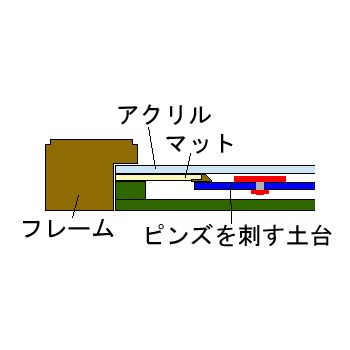 額装実例4 テニスツアーの写真他