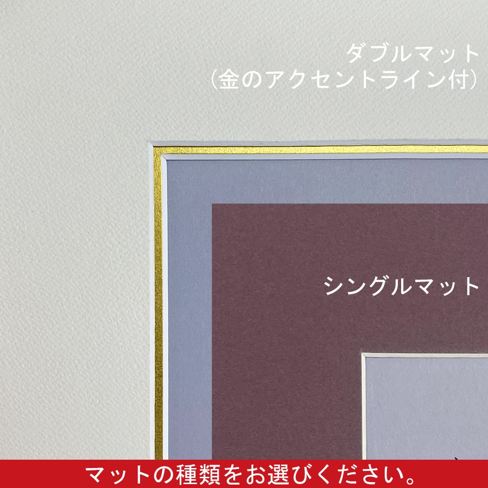 詳細画像2 色紙複数入 CF