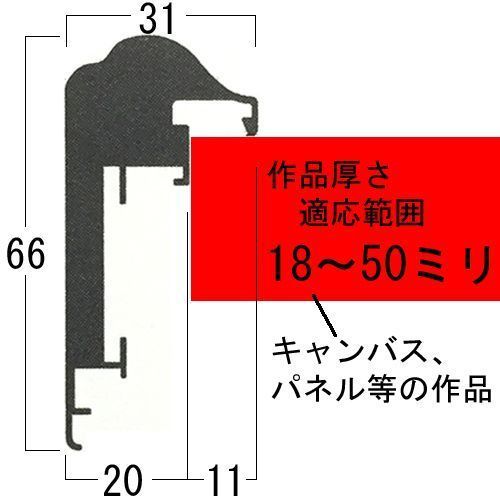 詳細画像10 仮縁 CD77