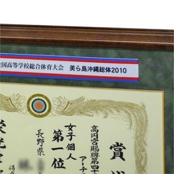 沖縄総体2010
