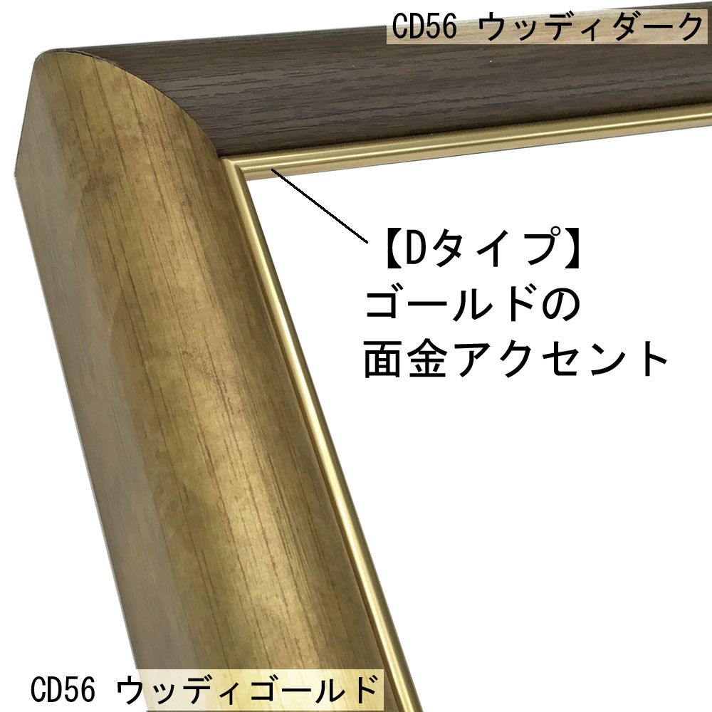 詳細画像3 CDシリーズ Dタイプ付