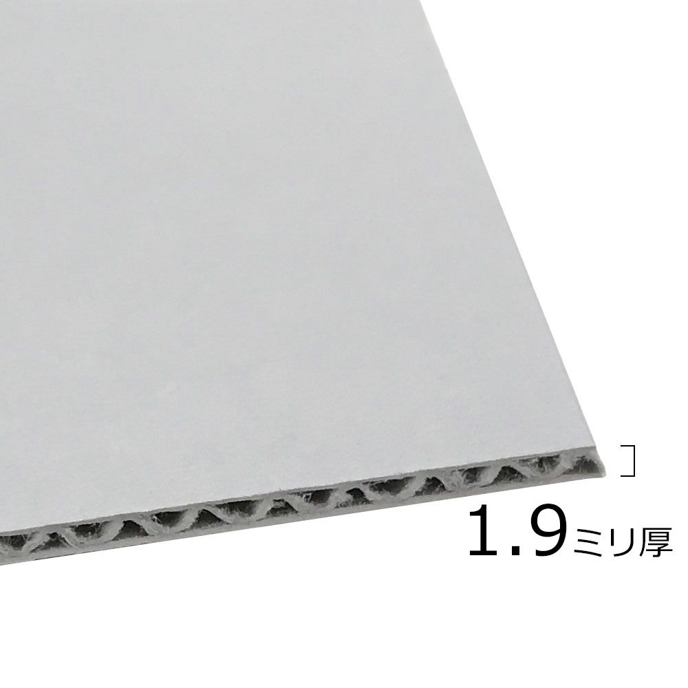 詳細画像3 保存額装 アーカイバルボード