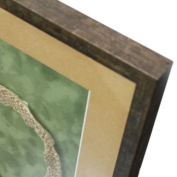 蛇の脱け殻を既製額で