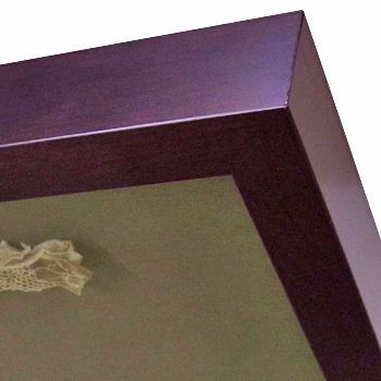 シマヘビの抜け殻