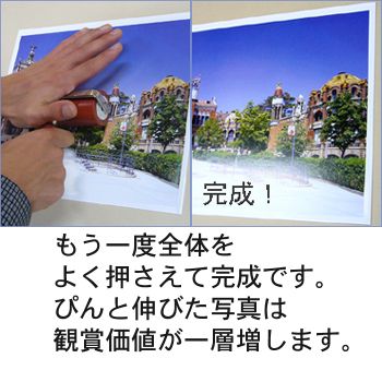 詳細画像5 額装用 FP裏打ちシート