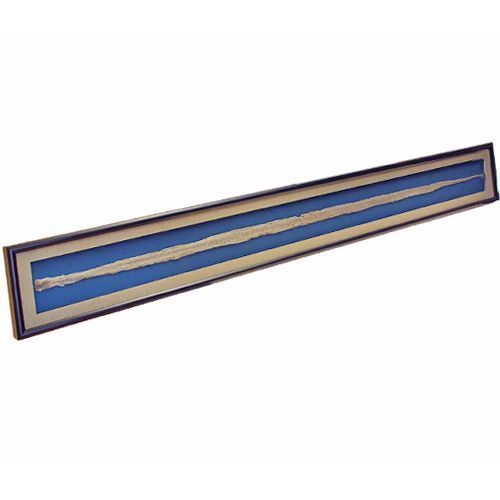 縁起物 ヘビの抜け殻