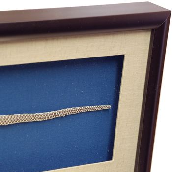 縁起物 ヘビの抜け殻