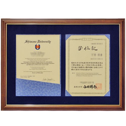 額装実例4 学位記 布貼りライナー付