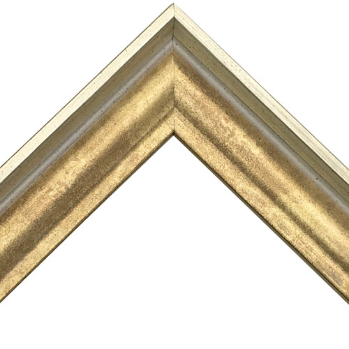 詳細画像2 D-49323