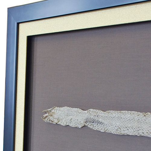 青大将の抜け殻