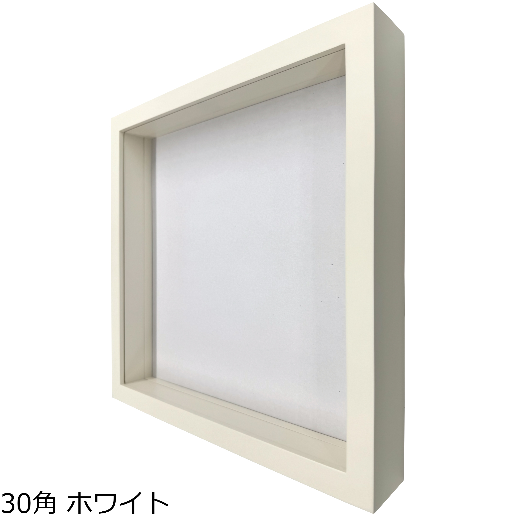 詳細画像4 立体額 9790