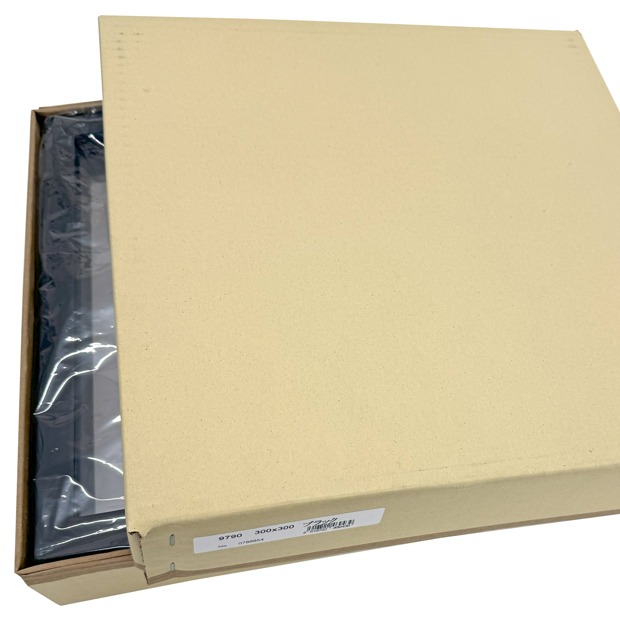 詳細画像9 立体額 9790