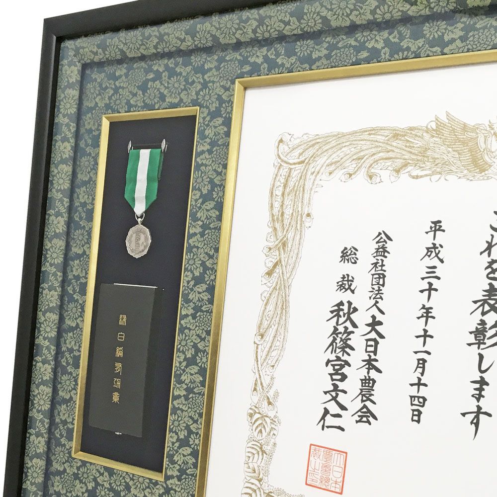 詳細画像2 大日本農会 緑白綬有功章 GT24