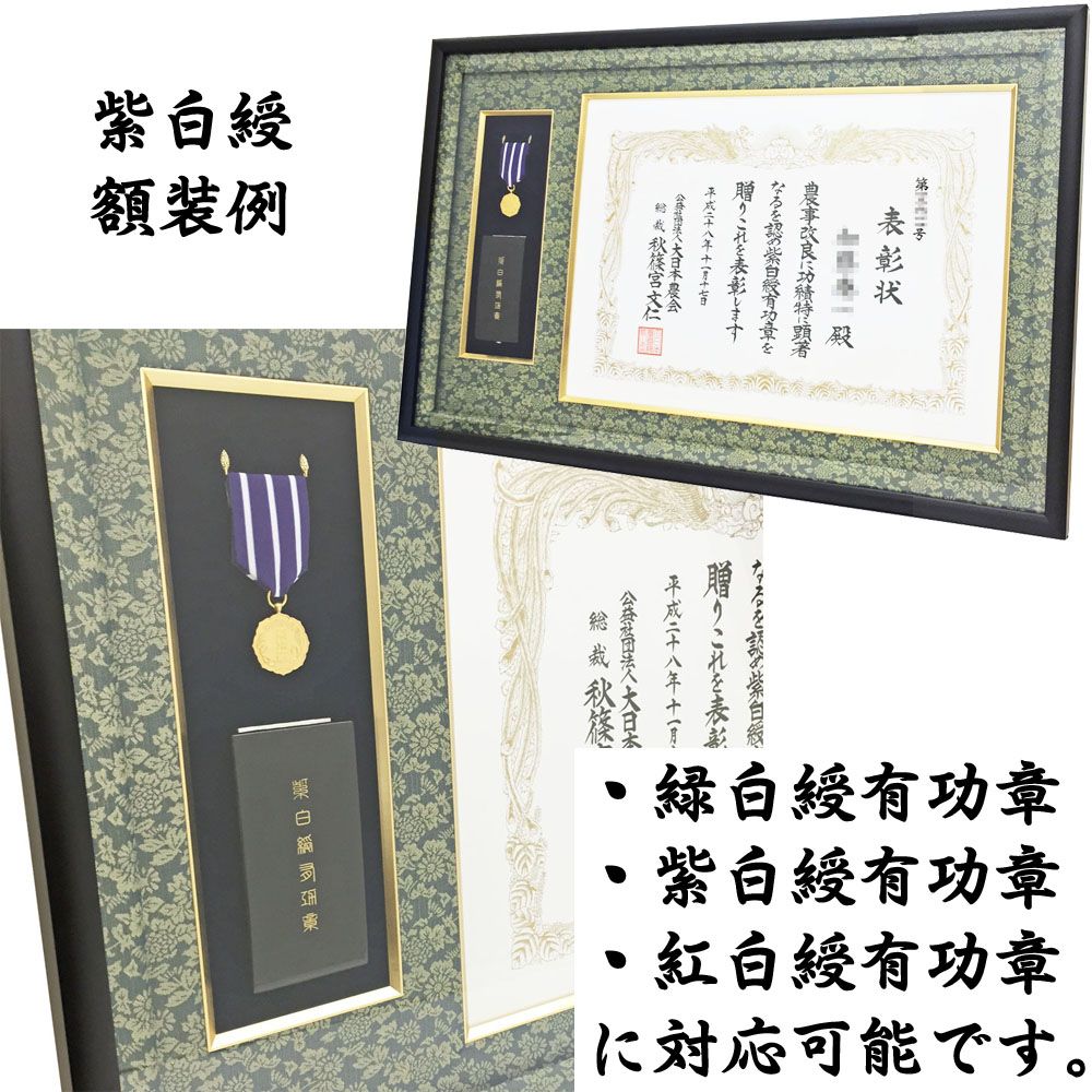 詳細画像7 大日本農会 緑白綬有功章 GT24