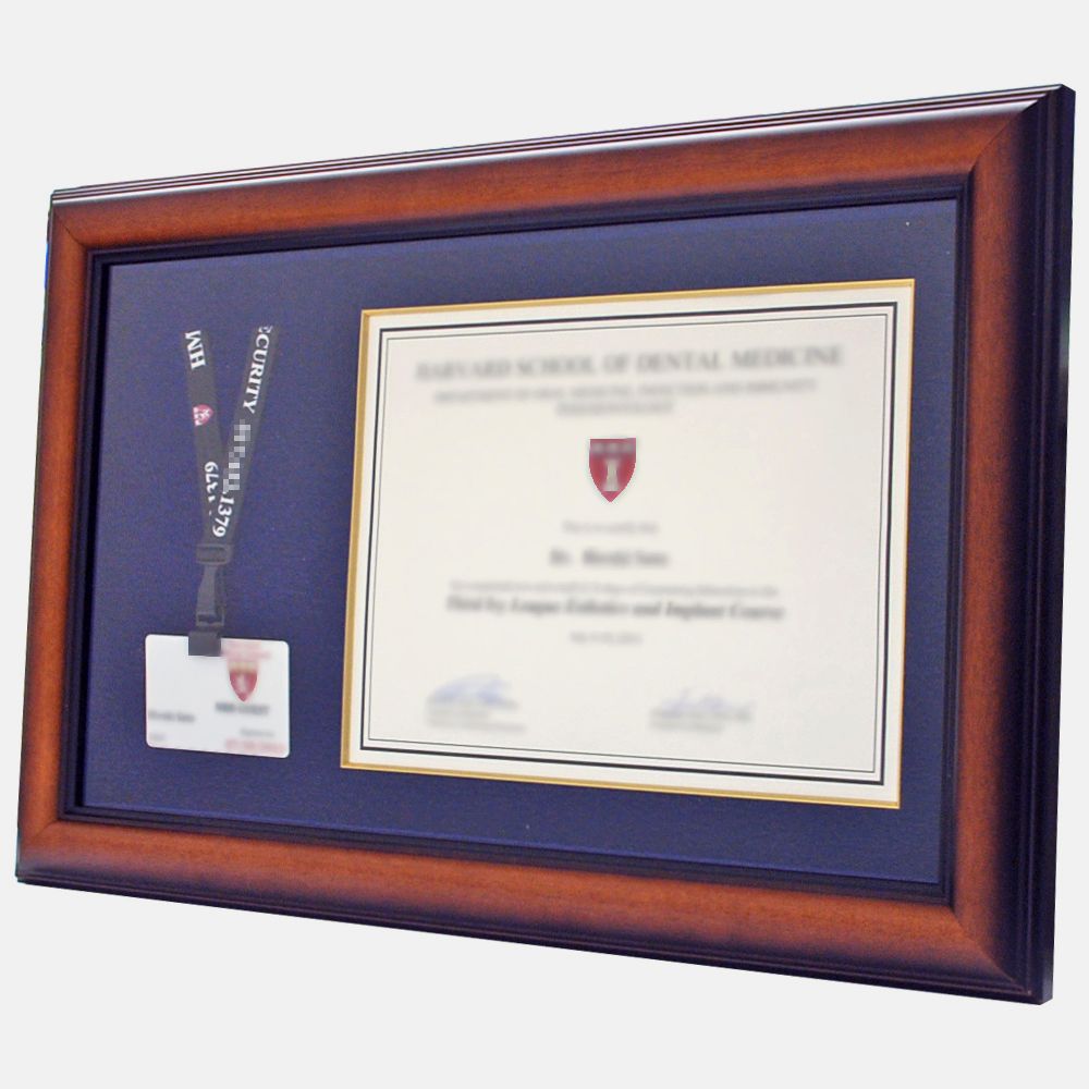 スタッフカード / 修了証