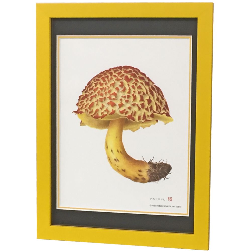 きのこイラスト