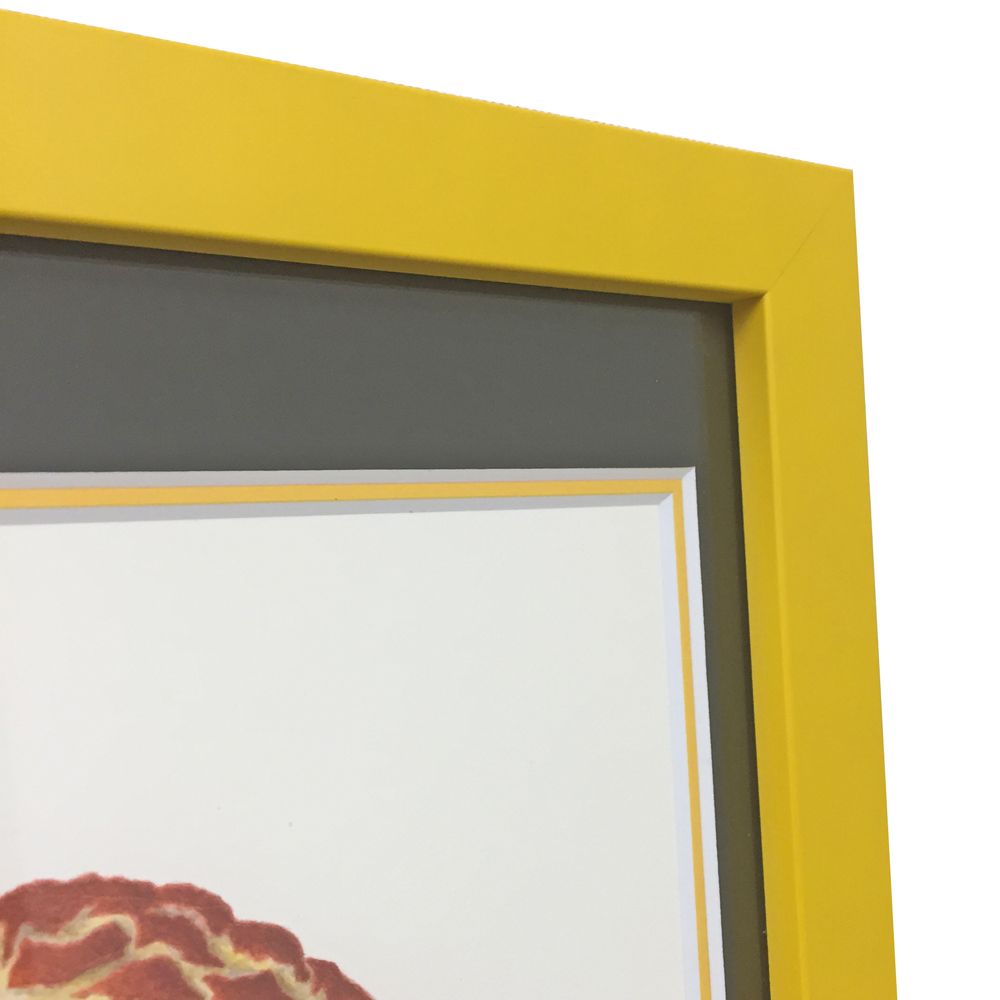 きのこイラスト