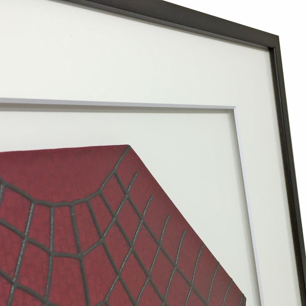 スパイダースーツ