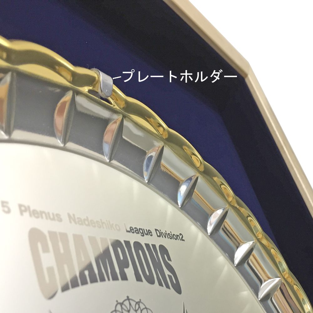 額装実例4 長野パルセイロ 優勝銀皿