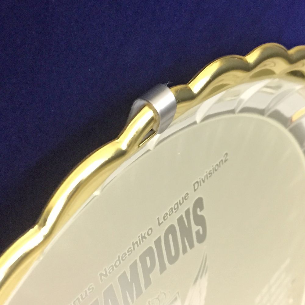 額装実例5 長野パルセイロ 優勝銀皿