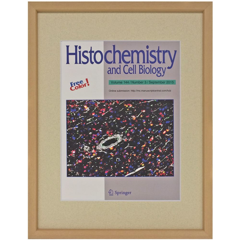 雑誌を一般額で額装