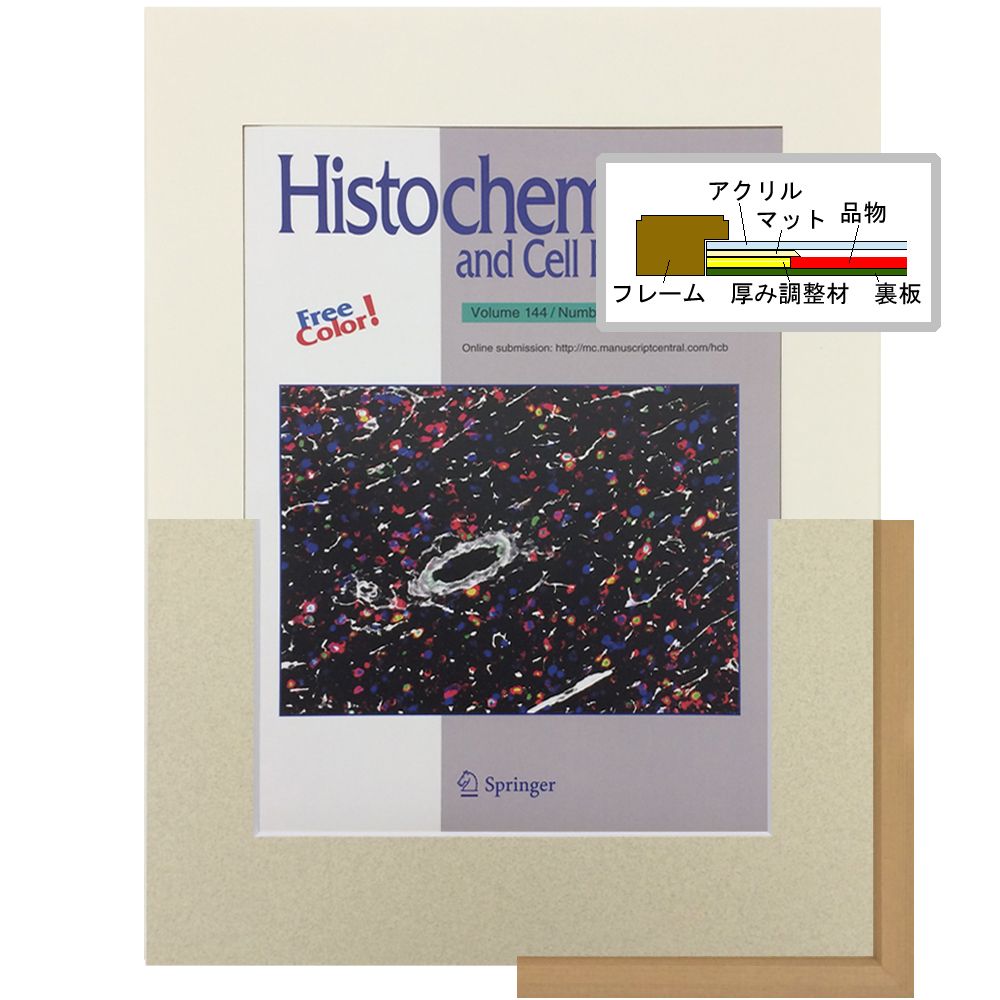 雑誌を一般額で額装