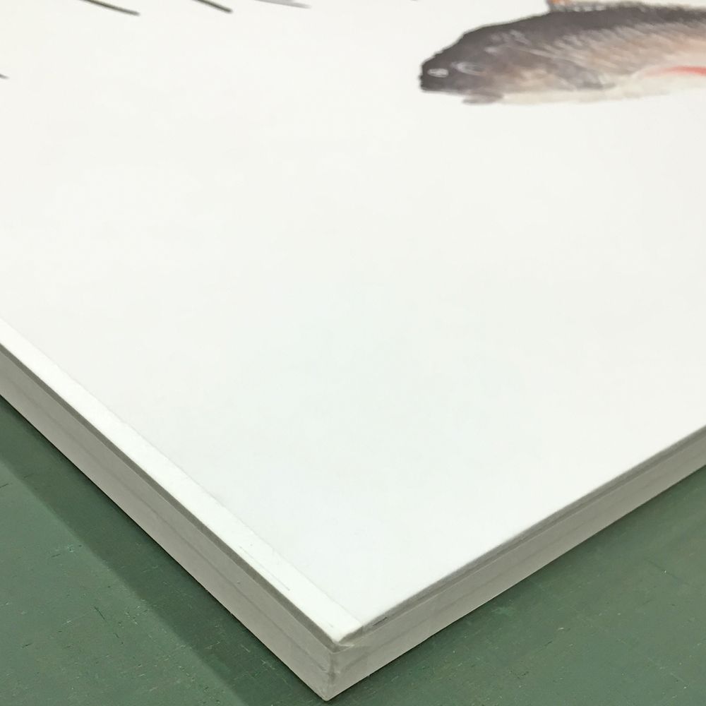 額装実例7 魚躍龍門 中国魚拓