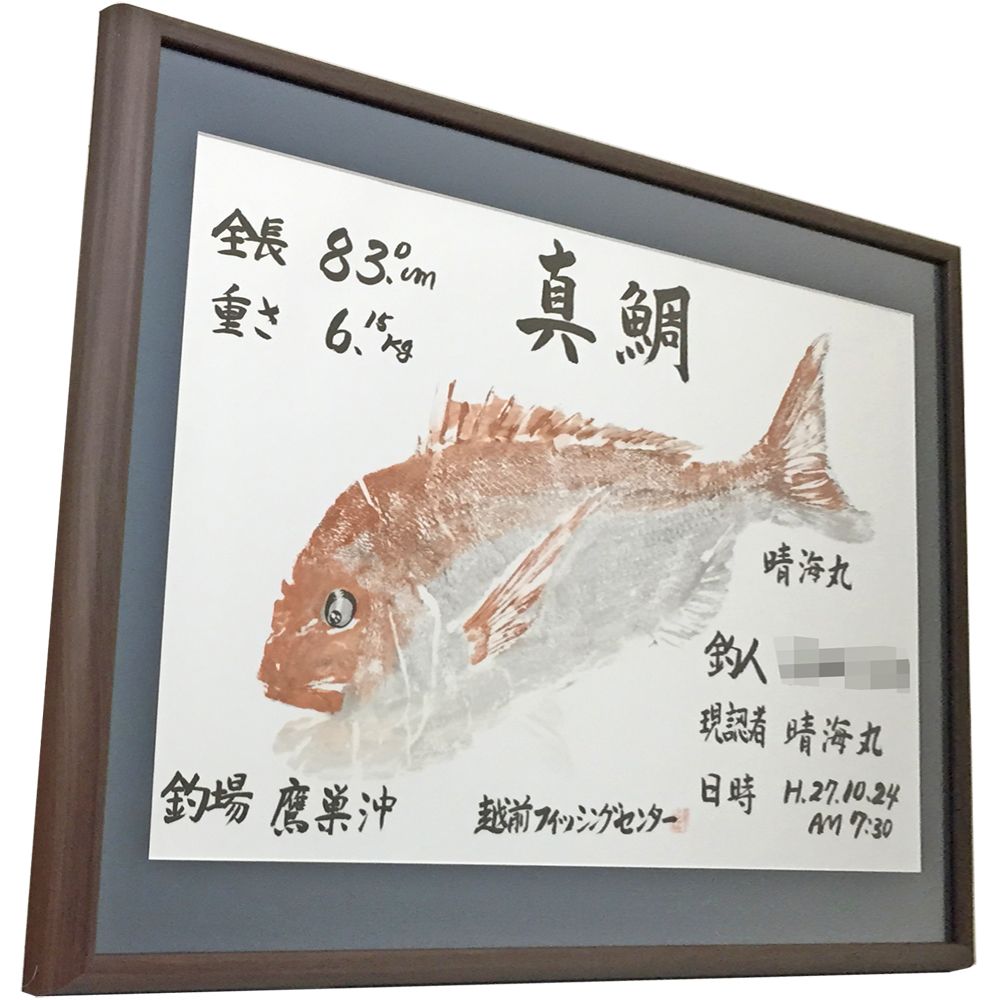 額装実例4 カラー魚拓 真鯛