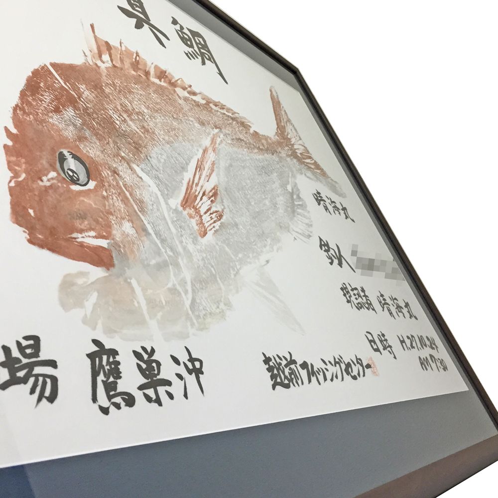 額装実例5 カラー魚拓 真鯛