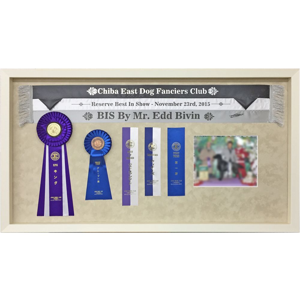 ドッグショー KING