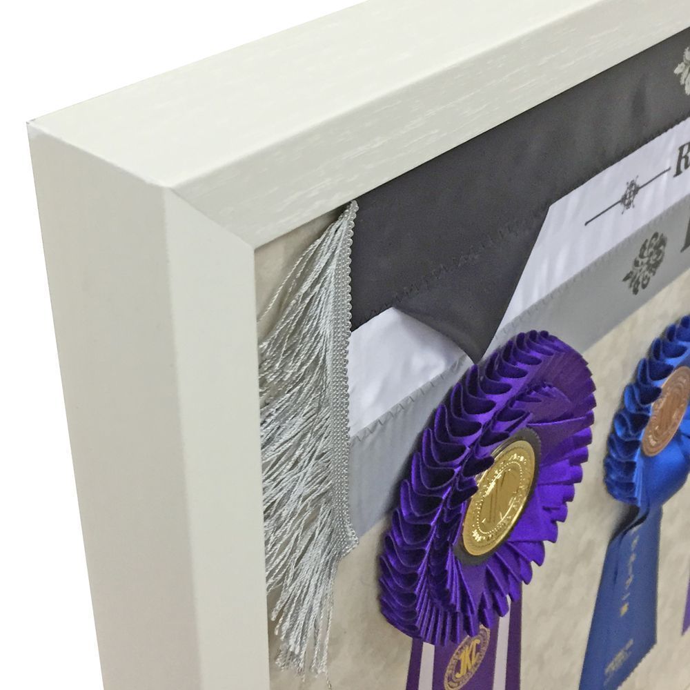 ドッグショー KING