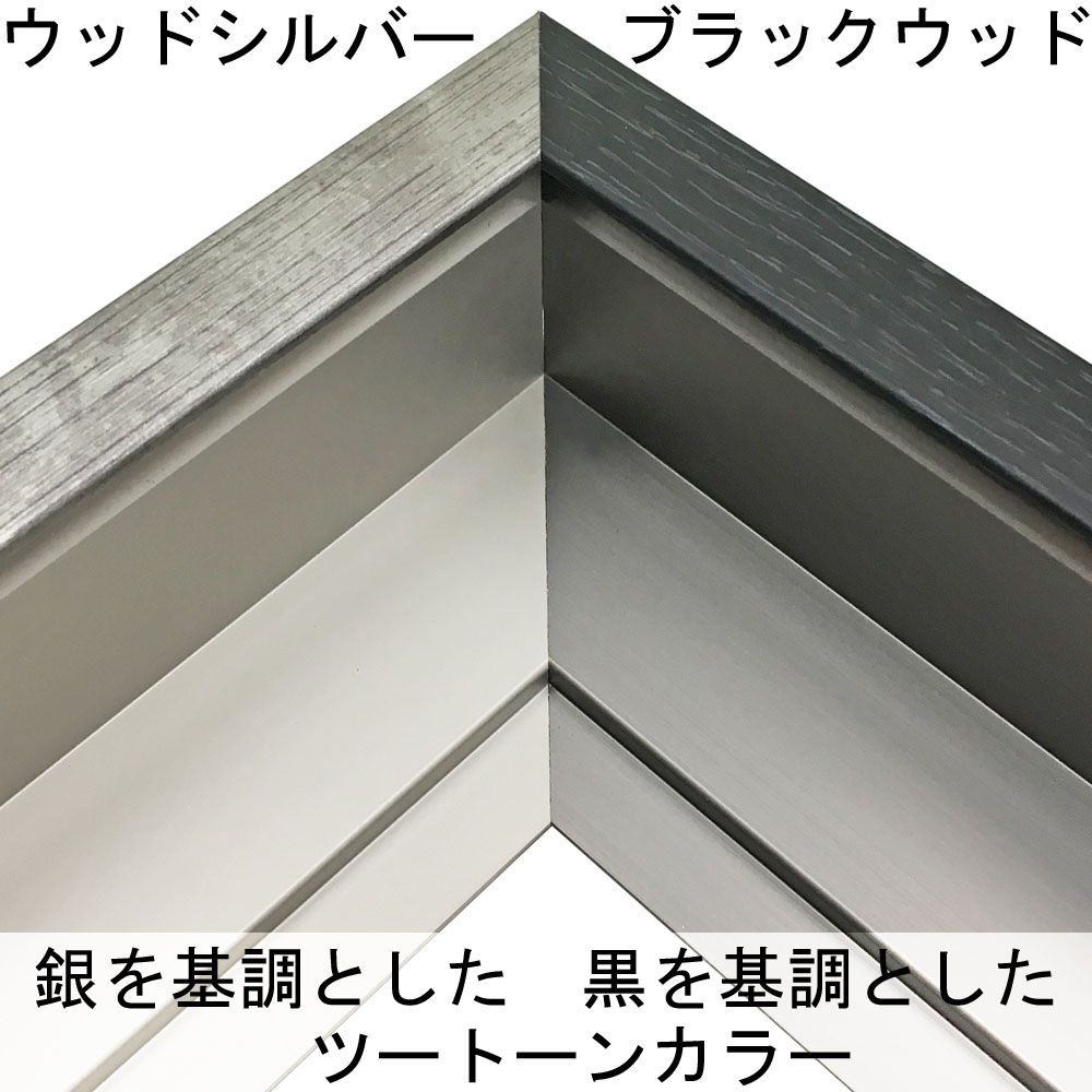 詳細画像2 仮縁 CX62