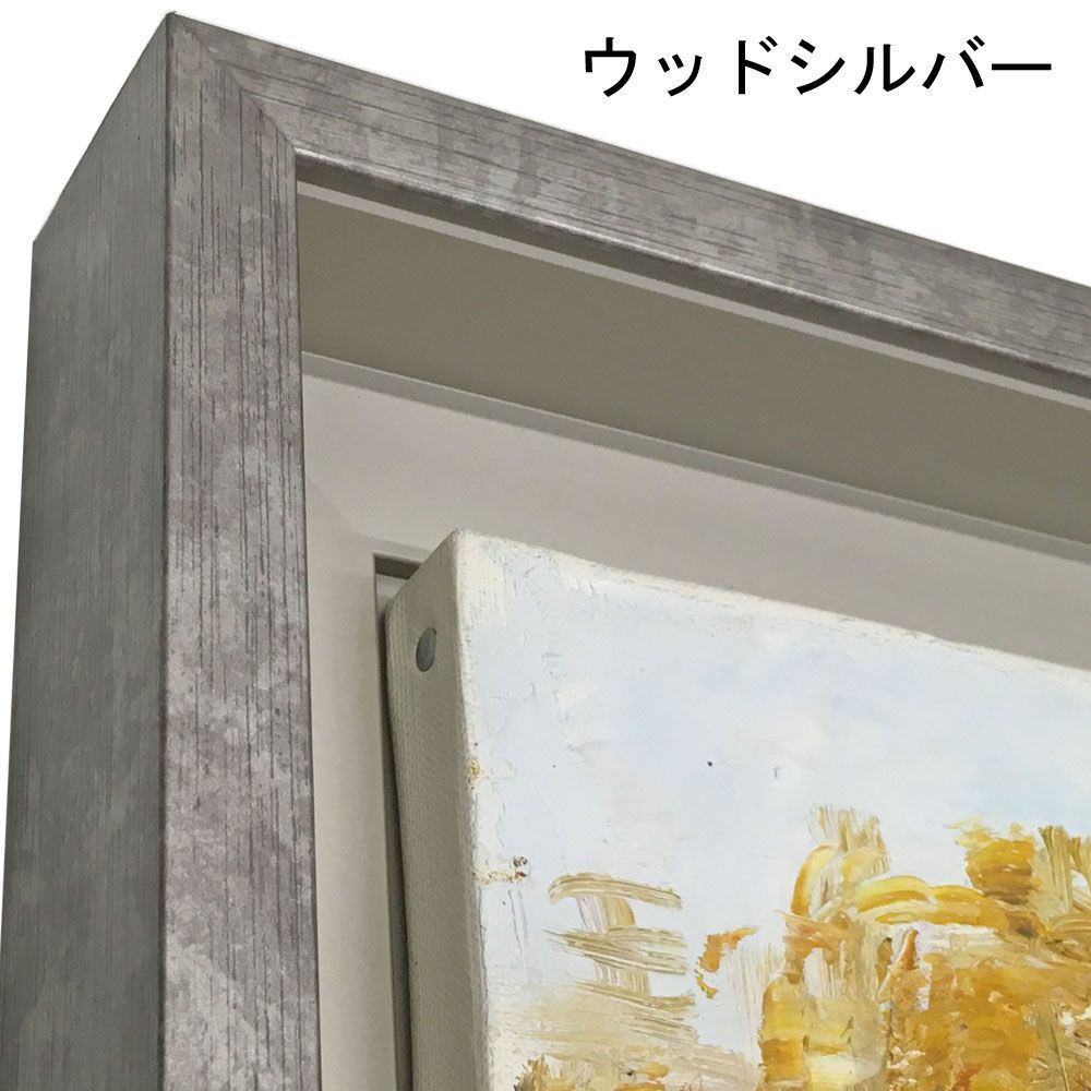 詳細画像3 仮縁 CX62