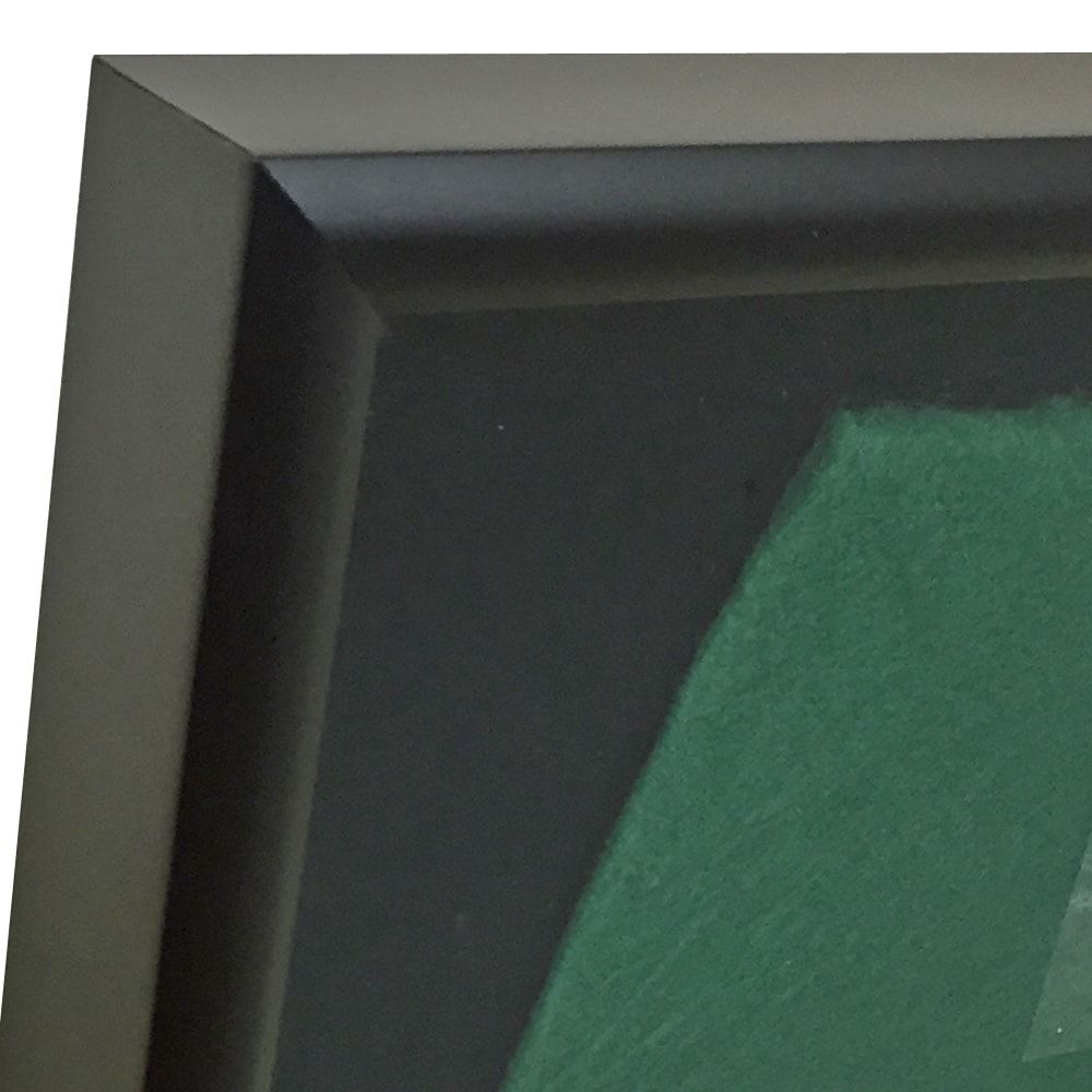 競走馬のゼッケン