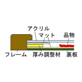 額装実例8 蛇の抜け殻 寿